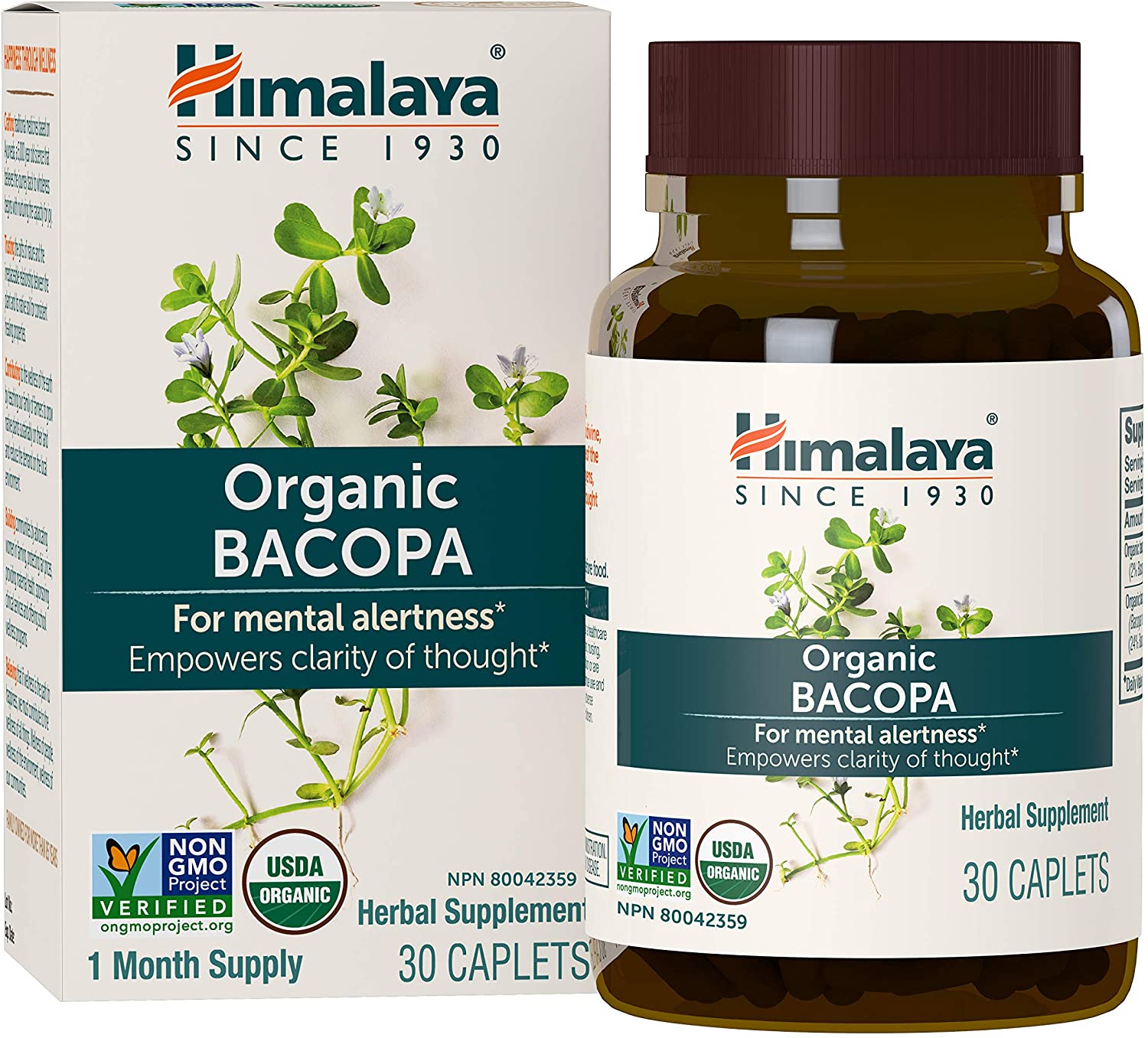 Bacopa Supplements