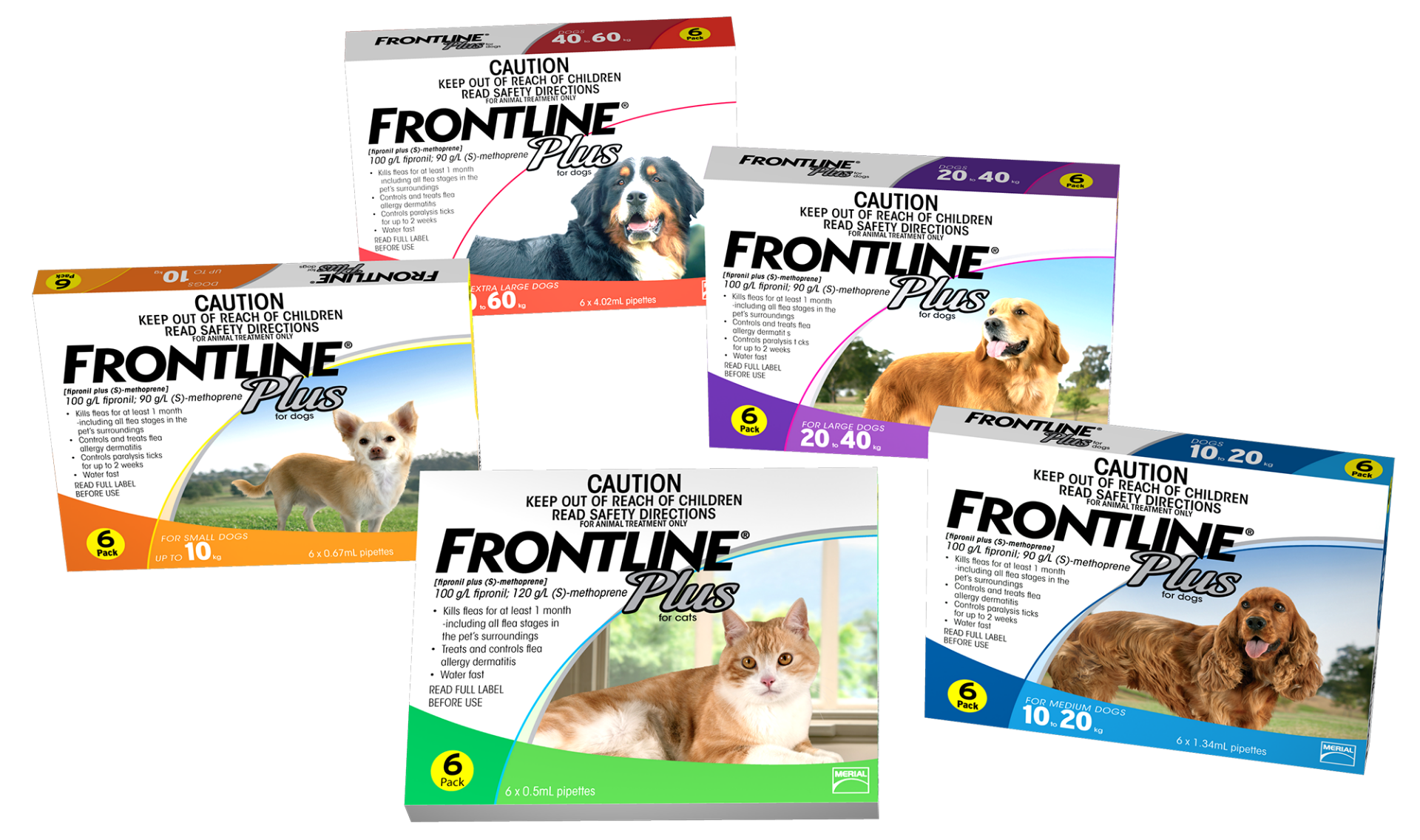 Frontline Plus Cats