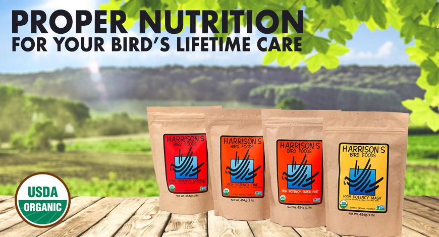 Harrison’s Bird Foods 