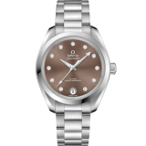 Omega Seamaster Aqua Terra 150M - 34 MM Steel On Steel