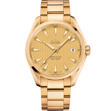 Omega Seamaster Aqua Terra 150M - 41.5 MM Yellow Gold On Yellow Gold