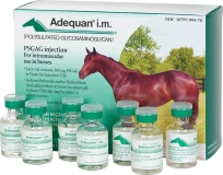 Adequan i.m. Equine 500mg/5ml - 7ct