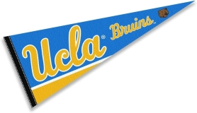 Bruins Pennant Full Size Felt