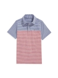 Vineyard Vines Little Boy's & Boy's Americana Striped Polo Shirt