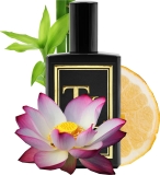 Tobi Tobin White Grapefruit Lily Bamboo