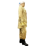 Abracadabra NYC Colonial Men, Gold Louis 15th Costume
