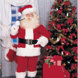 Abracadabra NYC Imperial Santa Suit Adult Costume