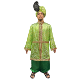Abracadabra NYC International Enchanting Green Sultan Adult Costume