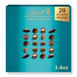 Lindt Mini Pralines Assorted Chocolate Candy Pralines 3.4 oz Box
