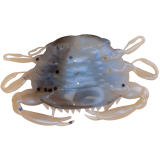 Berkley Gulp! Saltwater Peeler Crab Soft Bait