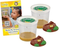Painted Lady Butterfly Kit Refill with Chrysalis Logs - STEM Education for Life Science - Butterfly Lifecycle Observation