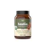 Complete Natural Products Organic Jerusalem Artichoke Inulin Capsules - 520mg - 100 Pills