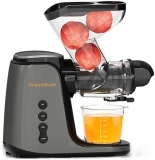 YaoShuo Global Double Feed Chute Cold Press Juicer, High Juice Yield, 3 Modes, 200W Motor - Grey