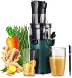 Sovider Compact Slow Masticating Juicer with 92% Juice Yield