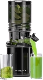 Ningbo Hands-Free Electric Masticating Juicer with Large Feed Chute - 350W, High Juice Yield