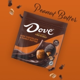 Dove Promises Dark Chocolate Peanut Butter Candy 1-Pack