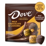 Dove Promises Milk Chocolate Caramel Candy - Large Bag
