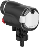 Sea Dragon Flash Head - Universal Compatibility